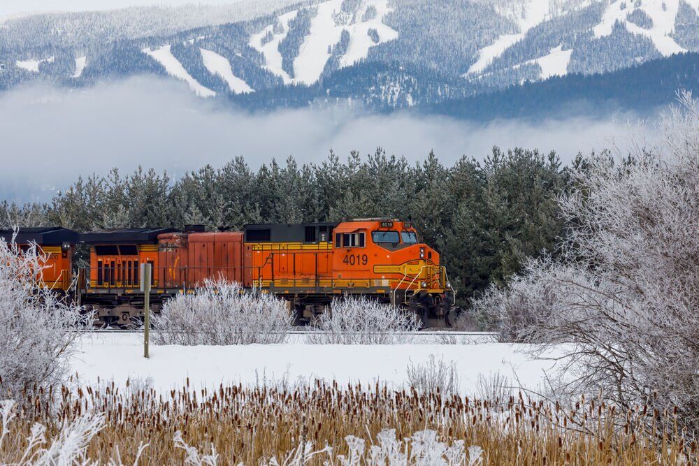 12. Montana